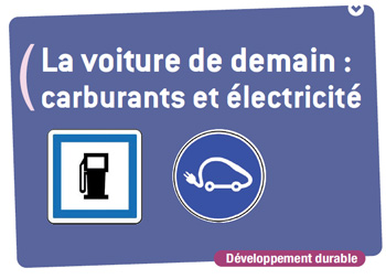Le Centre d'Analyse Strat�gique pr�sente un rapport sur la voiture de demain - Photo 1