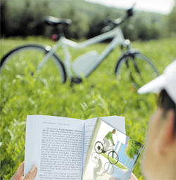 Ventes de v�los �lectriques � Le march� fran�ais stagne en 2011 - Photo 1