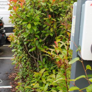 Impératif le pilotage de la recharge pour électrifier les flottes ?