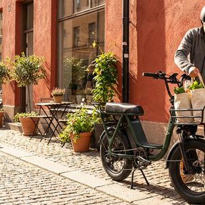 BQi 200 Utility, le vélo polyvalent à assistance électrique de Niu